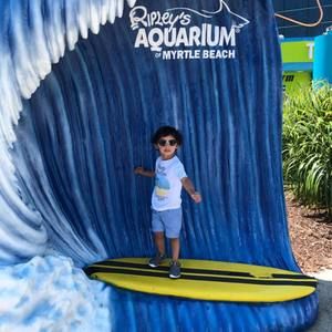 Meet your Posher, Norma